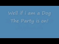 Baha Men - Who Let The Dogs Out Lyrics 