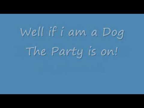YouTube video about: Who let the dogs out tradução?