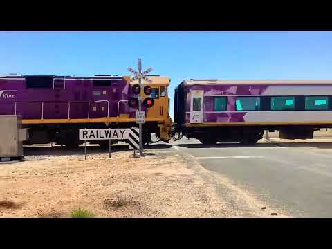 V/Line N class N458 At Station Street Railway crossing Lake Boga