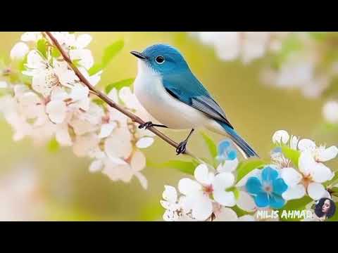 أجمل أغاني فيروز الصباحية #fairuoz #فيروزيات صباح #قهوتي الصباح #صباح الخير #فيروز 1080p 2