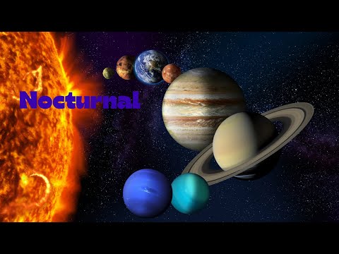 Hyri (Nocturnal) MAR