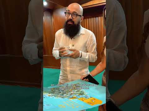 ¡El mar también se reconstruye! UNGRD restaura corales en San Andrés y Providencia