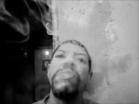 Dino black- o visitante