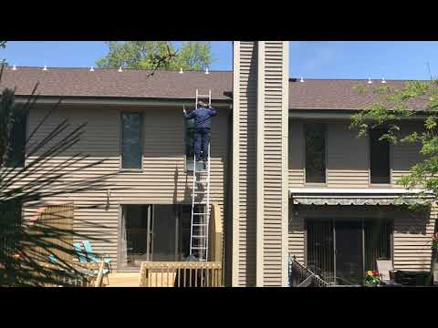 Exterminating Carpenter Bees in Freehold, NJ