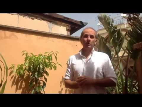 Che trattare vermi da rimedi di gente Segni di porchi di vermi
