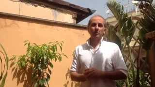 Anteprima video YouTube
