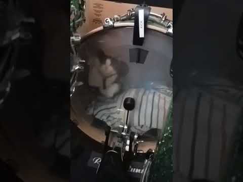 Cat goes in Kick Drum
