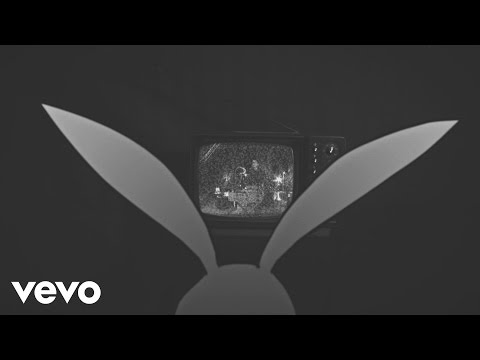 Curtains - Last Lynx