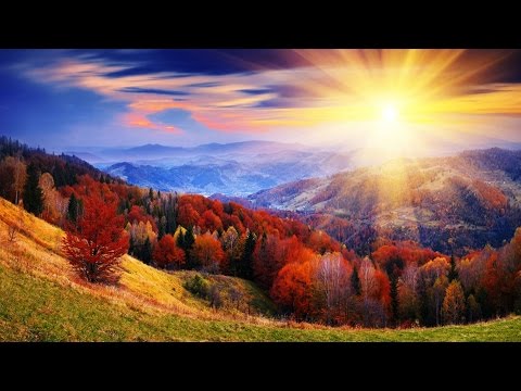 Sonnenschein auf allen Wegen