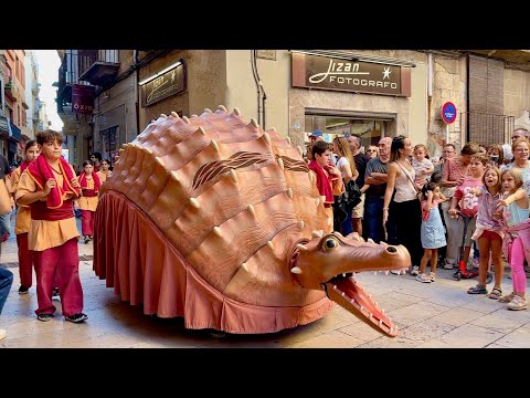 CERCAVILA del SEGUICI PETIT de Reus (Festes de Misericòrdia 2024) Episodi nº 1