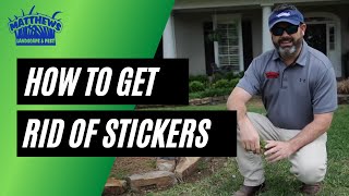 How To Get Rid Of Stickers (Burweed)