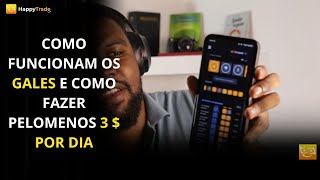 Como Funcionam Os Gales & Como Fazer 3 Dolares Por Dia