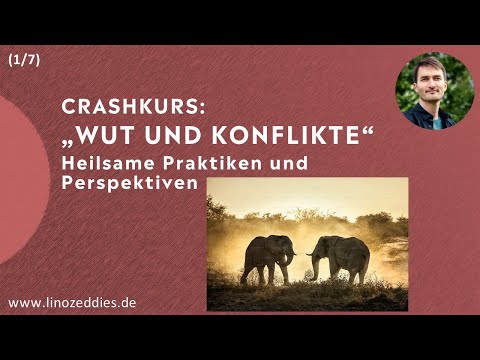 Konflikte konstruktiv klären – kraftvoll-wertschätzende Methoden und Praktiken, Lino Zeddies (1/7)