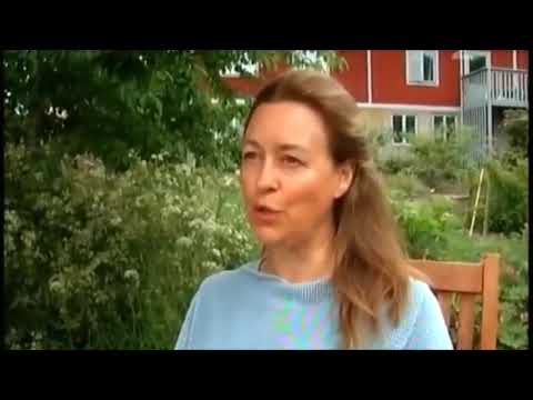 Kort om Eurytmi med Anders & Måns