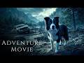 A Dog Who Survived A Disaster Brings A New Chance At Life HD Adventure Movie