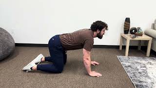 Cat-Cow stretch demonstration by Dr. Korrin Taylor