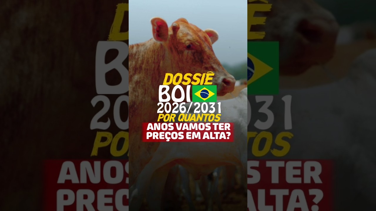 DOSSIÊ BOI BR 2026/2031: POR QUANTOS ANOS VAMOS TER PREÇOS EM ALTA?