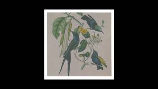 Memorial Susumu Yokota 2019/3/27  Tribute To Susumu Yokota  Tobiume (Original)