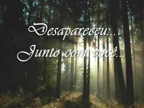 Meu Silêncio video