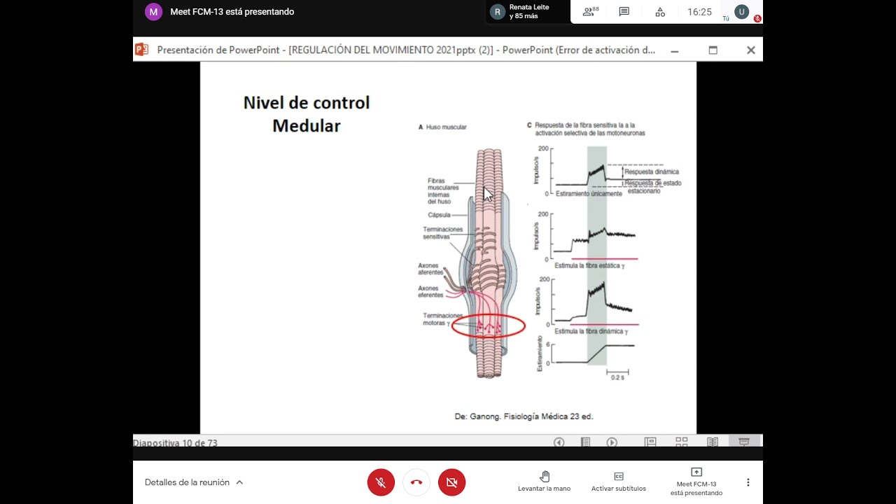 TyTl: Teórico de fisiología: Sistema equilibrio motor