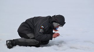 Соревнования по рыбной ловле в кемеровской области