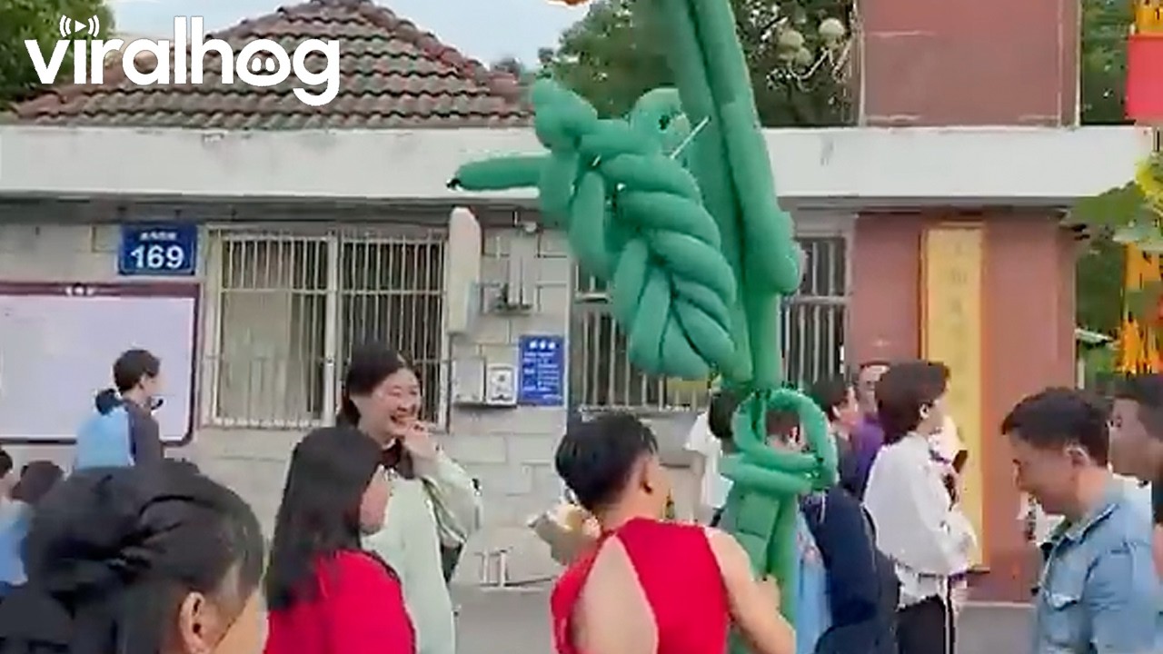 Dad in a Dress Steals the Show College Entrance Exam With Giant Sunflower Balloon || ViralHog