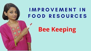Bee Keeping | Improvement in Food Resources| Class - 9 Biology | CBSE | NCERT