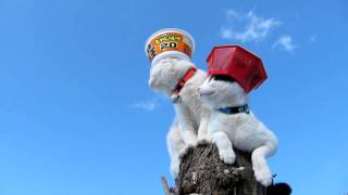 But thankfully, I don't have to guess.