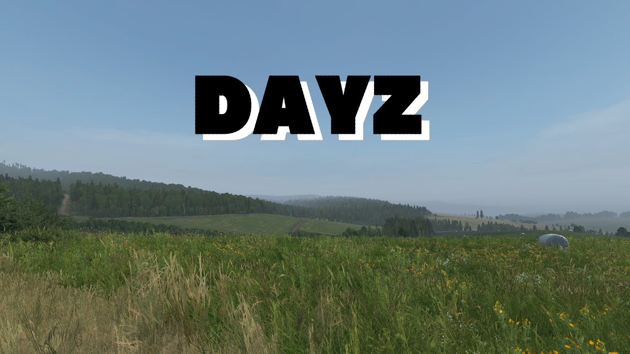 【DayZ】1月もう半分すぎたやんけ
