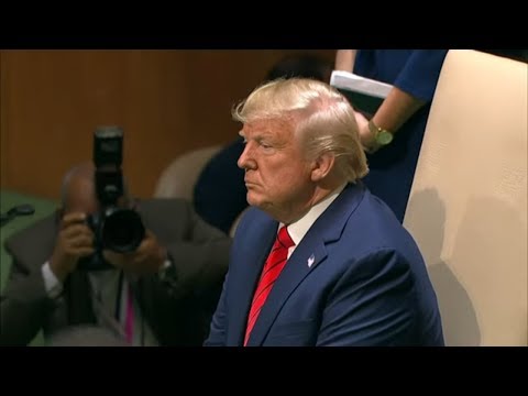 UKRAINE-AFFÄRE: Trump will Spieß umdrehen - Jagd auf Whistleblower