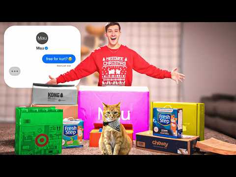 I DM'ed 100 Brands to Send My Cat Christmas Gifts