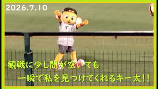 [2026.7.10] つば九郎先生が約2年ぶりに甲子園に凱旋した、試合終了後のキー太！ ＠阪神甲子園球場～一塁アルプス視点～【阪神タイガース】