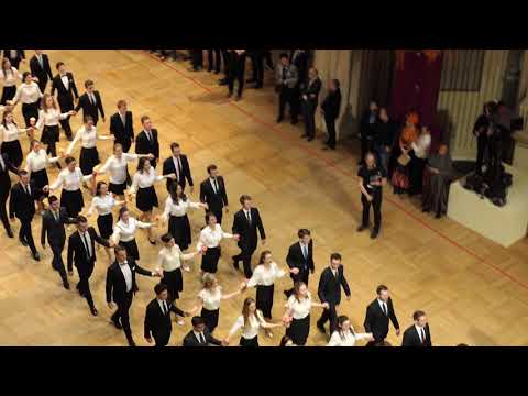 Wiener Opernball 2019, Generalprobe, Einzug der Debütanten II