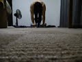 アブローラー440回(約5秒以内に1回のテンポ) 440 Ab Wheel