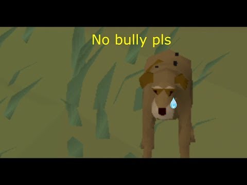 Never shoo away a stray dog [OSRS]