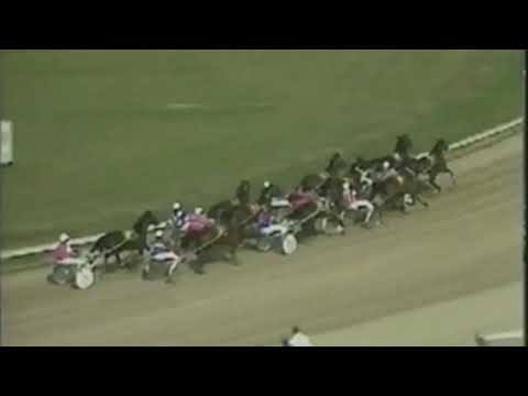 1988 Kilmore Cup - Riverlea Jack