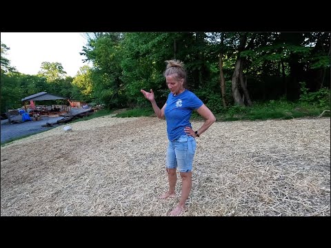 Major Transformation! Family works Together, Food Plot, New Lawn, Garden and more
