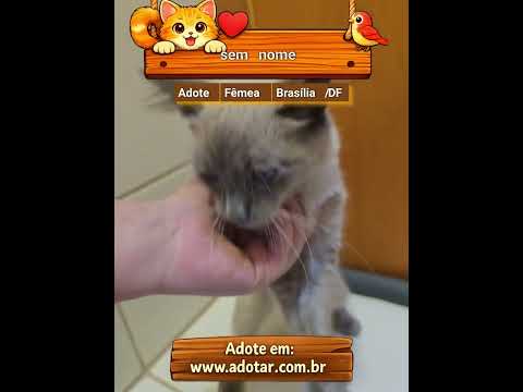 Vídeo de sem nome