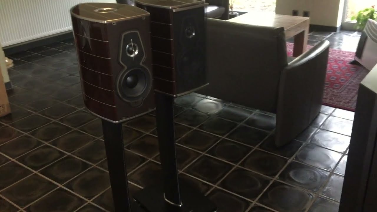 Sonus Faber Guarneri Tradition