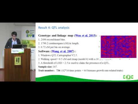 Combining high-throughput phenotyping and QTL mapping to reveal the dynamic genetic architecture of