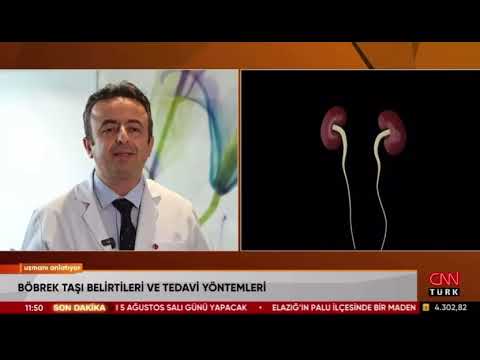 CNN - Uzmanı Anlatıyor Programında Böbrek Taşı Problemlerini ve Korunma Yöntemlerini Anlattık