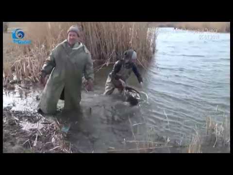 REPOPULARE   CANALUL MAGISTRAL LUNCA