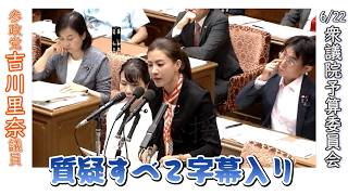 【日本人ファースト参政党 吉川里奈議員🫡】6/22衆議院予算委員会質疑字幕入り ※誤字脱字等あるかもしれませんがご自由に👍