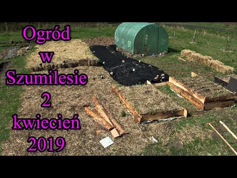 Ogród w Szumilesie 2 - kwiecień 2019