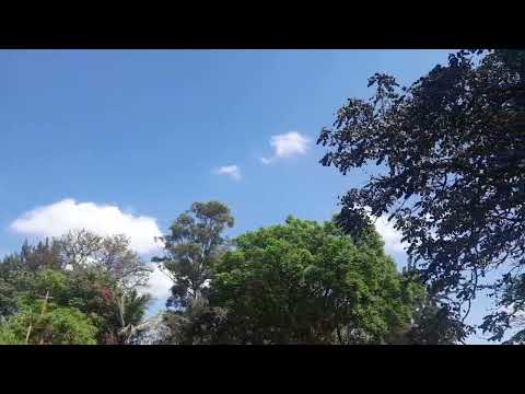 okoth jaropongi-chien kiyany.......