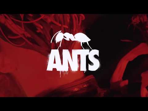 ANTS - MIAMI MUSIC WEEK 2019 Teaser (MMW 2019)