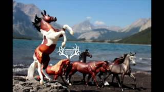 Indochine -  Le chevauchée des champs de blé