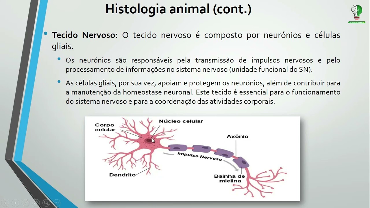 Resumo de Matriz de Biologia 12ª Classe - Parte Final