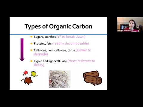 Organic Matter Decomposition and Composting