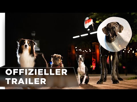 Offizieller Trailer #2